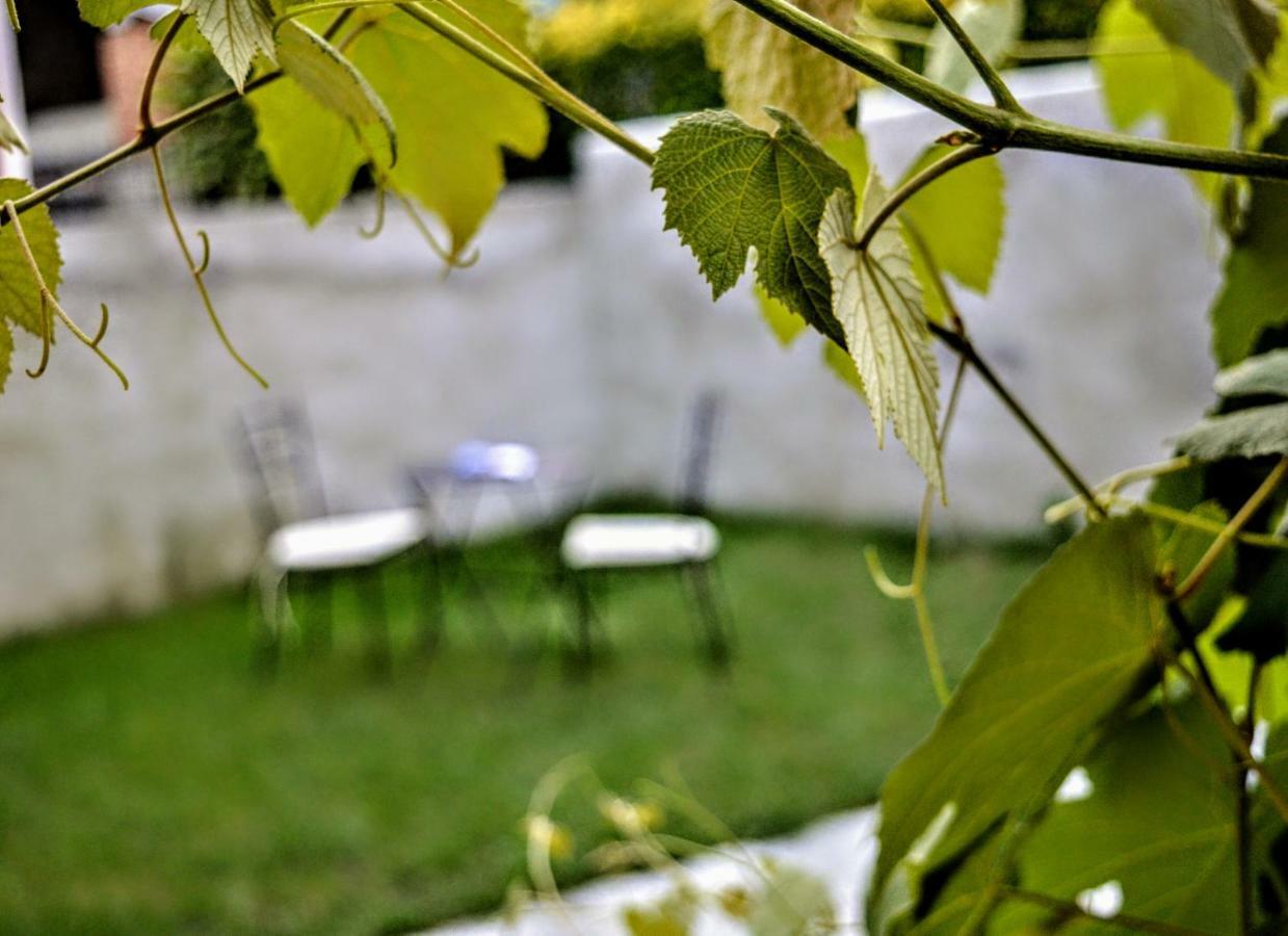 Casina Dello Zio Villa Verbania Exterior foto